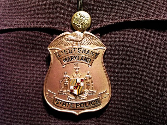 MSP-Lt