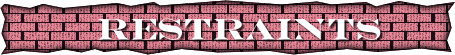 restraintsbnr restraintsbnr