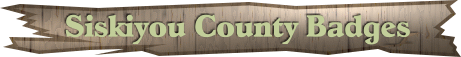 sisbanner