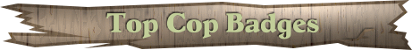 topcopbanner topcopbanner