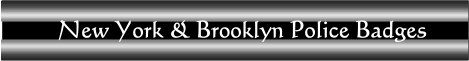 NY---Brooklyn-Police-badges-banner