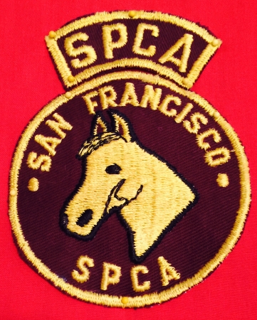 SF-SPCA-45002