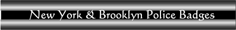 NY & Brooklyn Police badges banner
