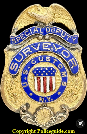 Spec Dep Surveyor NY