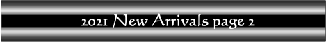 2021 New Arrivals page 2 banner